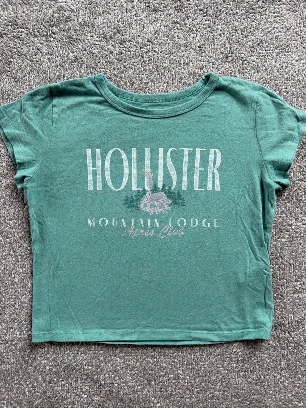 Hollister Teal Mountain Lodge Graphic Short Sleeve Cropped Tee